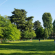 people walking on green grass field near green trees under blue sky during daytime