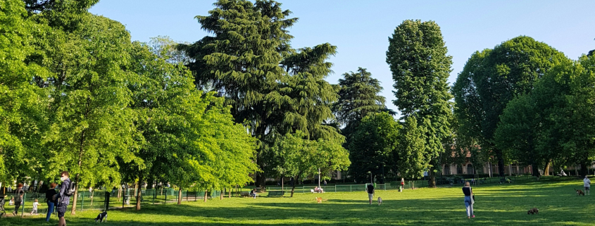 people walking on green grass field near green trees under blue sky during daytime